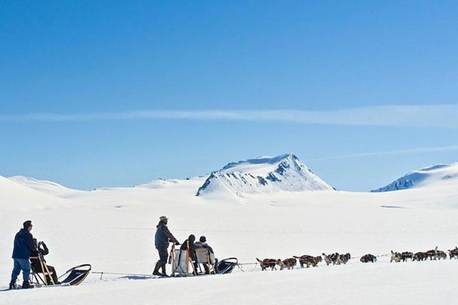 Alaska Helicopter and Glacier Dogsled Tour - ANCHORAGE AREA - Landing on a high glacier snowfield
