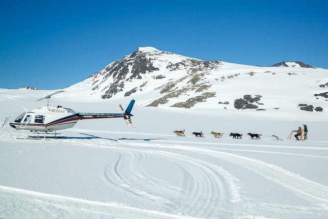 Alaska Helicopter and Glacier Dogsled Tour - ANCHORAGE AREA - The return flight and possible glacier add-on