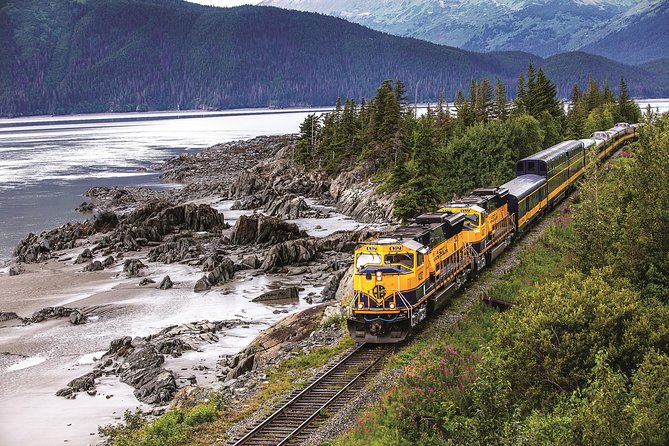 Alaska Railroad Anchorage to Seward Round-Trip Same Day Return - Key points to know before you book
