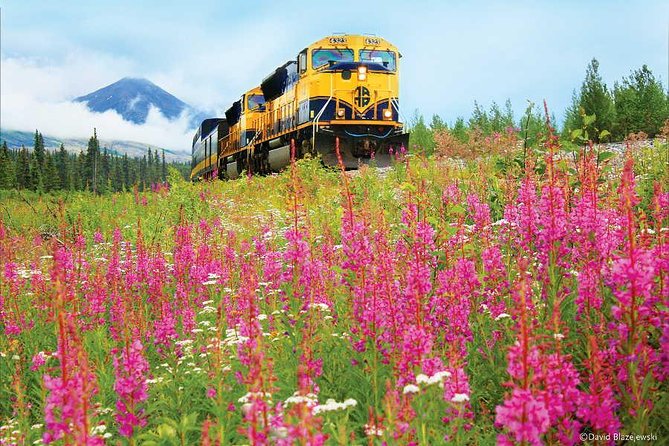 Alaska Railroad Anchorage to Seward Round-Trip Same Day Return - The 6:45 am departure from Anchorage
