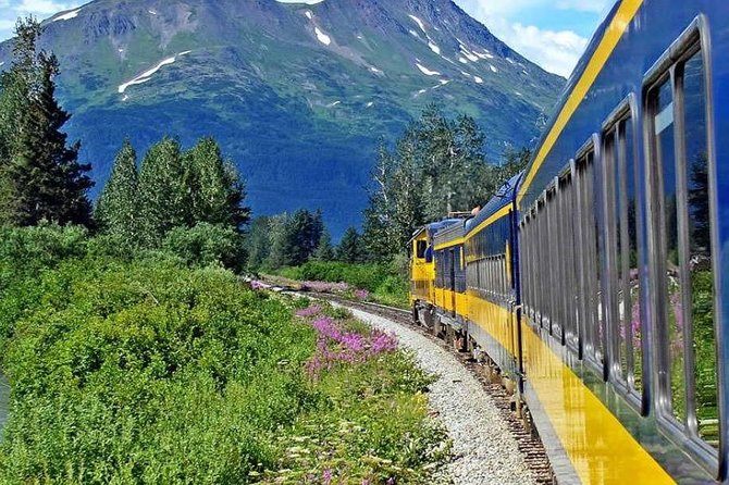 Alaska Railroad Anchorage to Seward Round-Trip Same Day Return - Why the same-day schedule is both useful and limiting