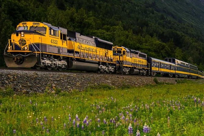 Alaska Railroad Anchorage to Seward Round-Trip Same Day Return - Who will enjoy this day trip most