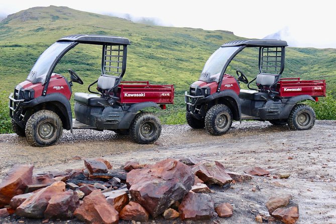Alaskan Back Country Side by Side ATV Adventure with Meal - Black Diamond Peak and the Healy Valley