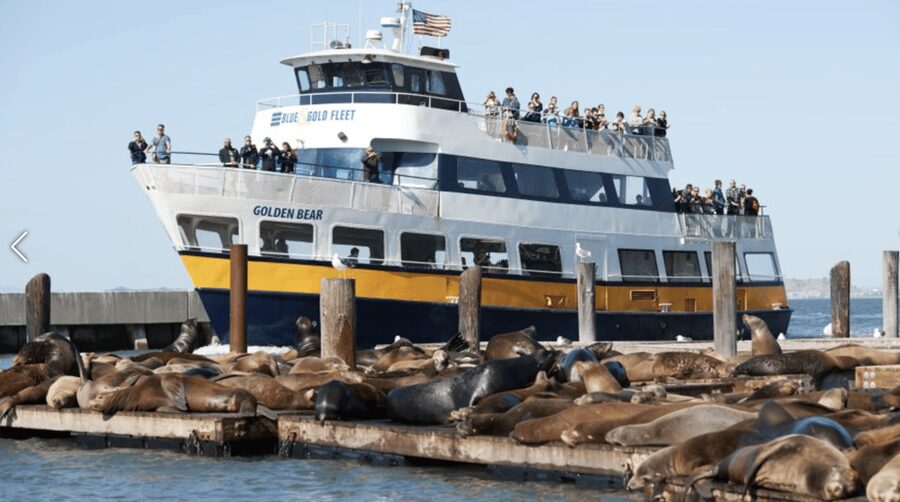 Alcatraz Island Prison Tour & Bay Cruise Combined Package - Practical details before you reserve