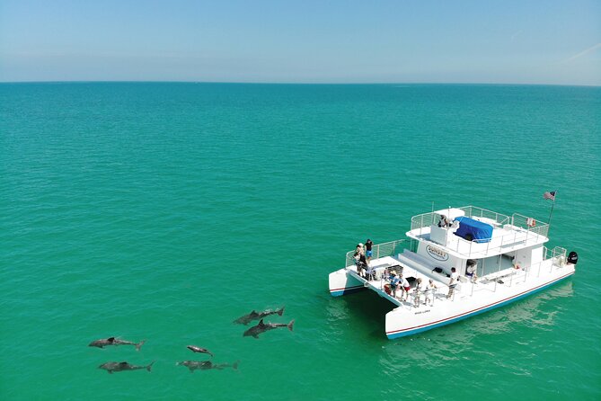 All-Inclusive Sandbar Safari with Dolphin Playground Encounter - A relaxed lunch with unlimited drinks