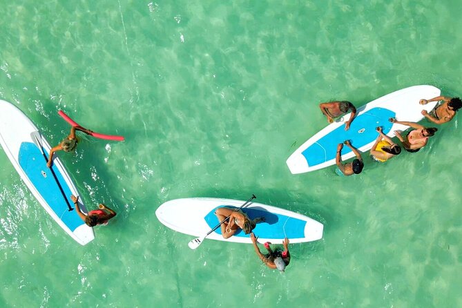 All-Inclusive Sandbar Safari with Dolphin Playground Encounter - Who should book this Key West outing?