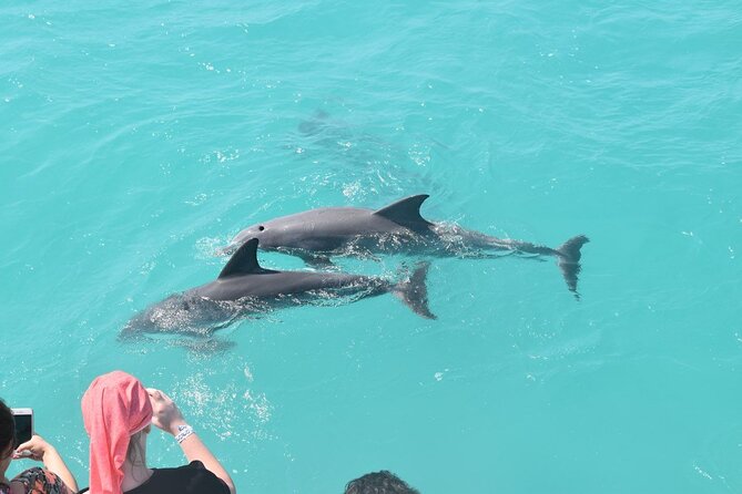 All-Inclusive Sandbar Safari with Dolphin Playground Encounter - Jewfish Basin and the sandbar stop