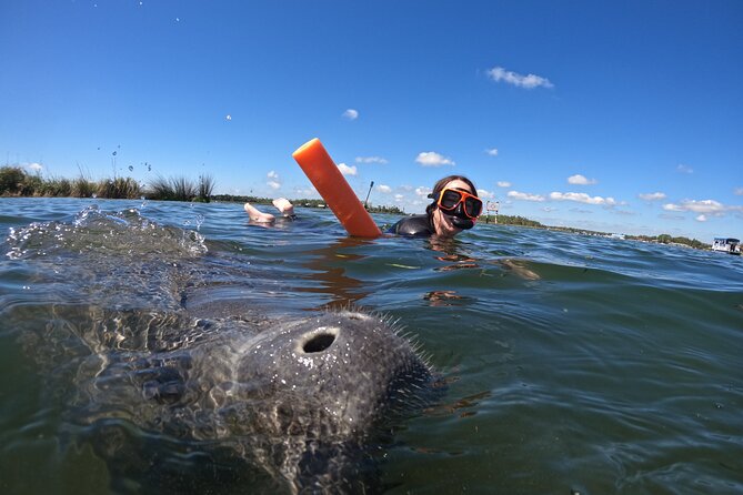 All-Inclusive Small Group Manatee Swim with Free Photos - Who will enjoy this outing most