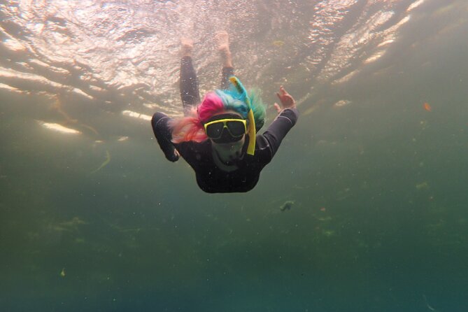 All-Inclusive Small Group Manatee Swim with Free Photos - Arriving at Pete’s Pier in Crystal River