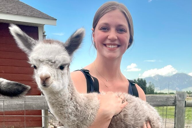 Alpaca and Llama Farm Tour - Why this Bozeman farm visit feels different