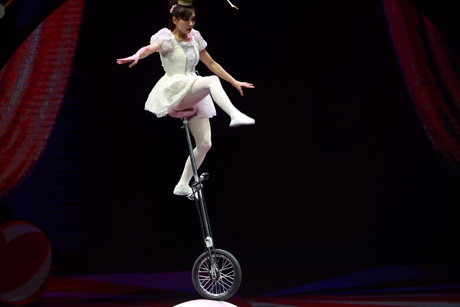 Amazing Acrobats: Grand Shanghai Circus Show in Branson - What the Grand Shanghai Circus is really offering