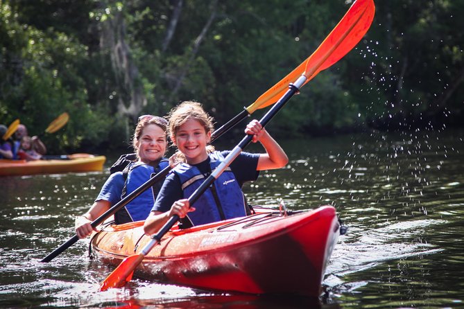 Amelia Island Guided Kayak Tour of Lofton Creek - Key points to know before paddling