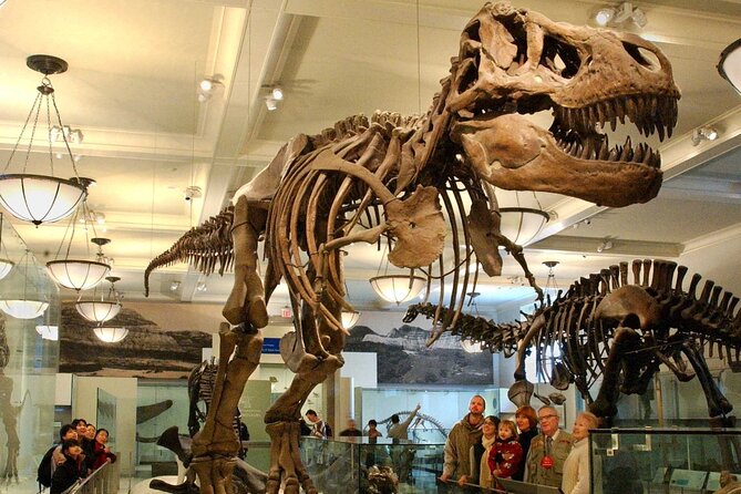 American Museum of Natural History Admission Ticket - Why this museum deserves a half day