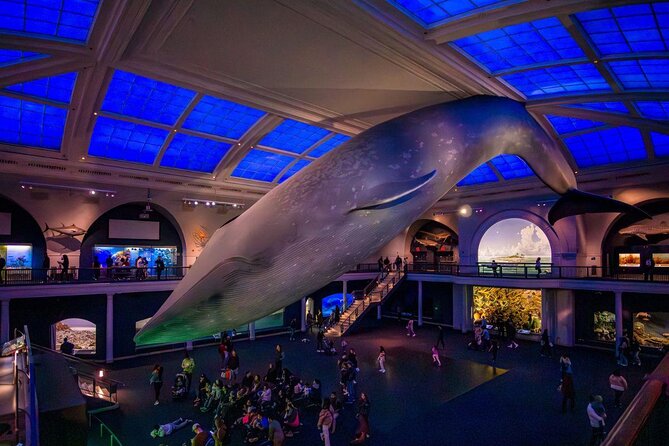 American Museum of Natural History Admission Ticket - Meet the elephants in the Akeley Hall