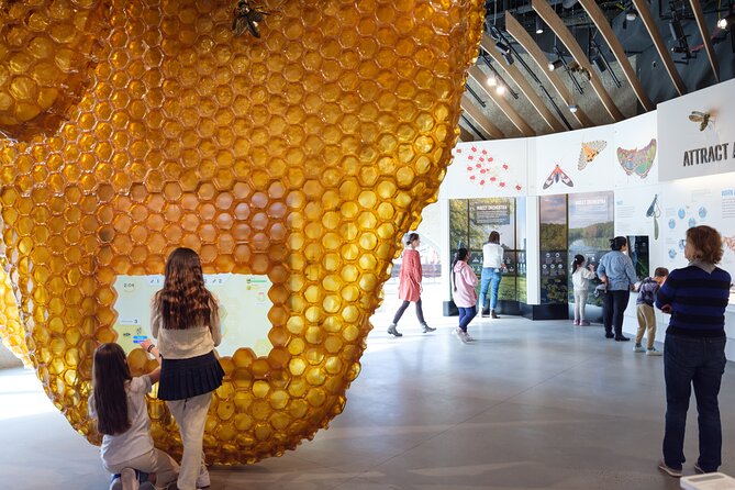 American Museum of Natural History Admission Ticket - Make room for the Richard Gilder Center