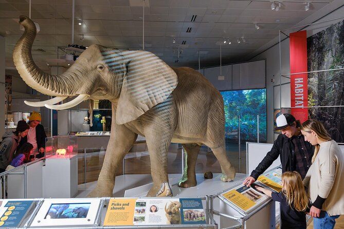 American Museum of Natural History Admission Ticket - What the $37 ticket is really worth