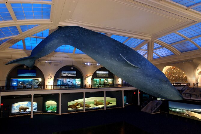 American Museum of Natural History Admission Ticket - The entrance process needs careful planning