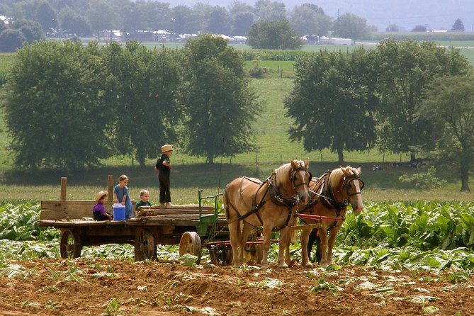 Amish Experience SuperSaver Package - Three ways to understand Amish Country