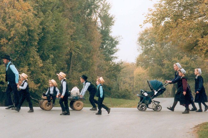 Amish Experience SuperSaver Package - The 90-minute farmlands ride