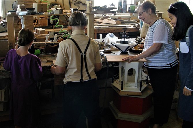 Amish Experience Visit-In-Person Tour - Why this Amish tour feels different