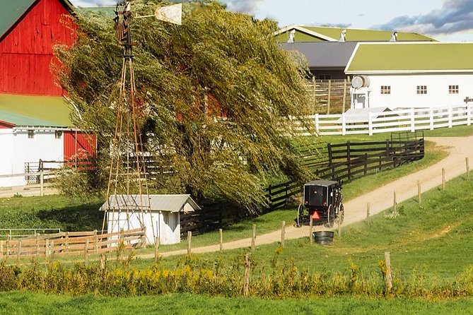 Amish Experience Visit-In-Person Tour - Stop one: inside a working Amish dairy barn