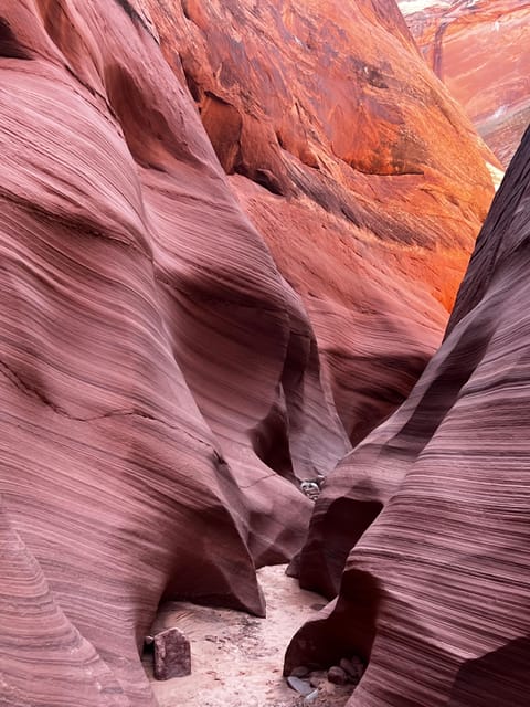 Antelope Canyon Lake Powell: Guided Kayaking & Hike Tour - What the $119 price really covers