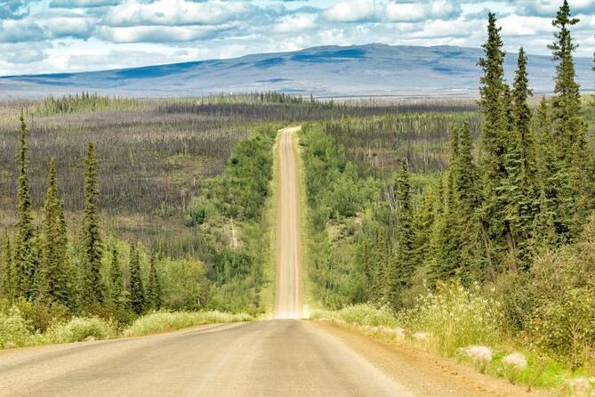 Arctic Circle Day Tour - Key points to know before you book