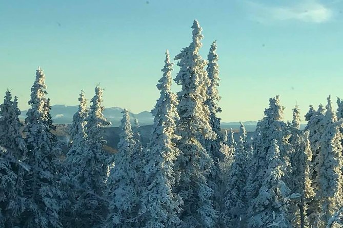 Arctic Circle Day Tour - Hilltop Restaurant and Marketplace: pie, gifts, and a useful restroom