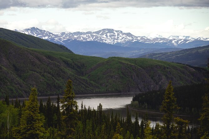 Arctic Circle Day Tour - The Alaska Pipeline viewing point