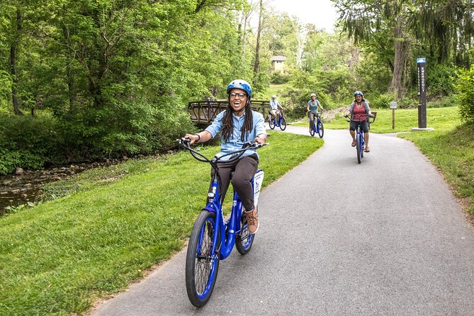 Asheville Historic Downtown Guided Electric Bike Tour with Scenic Views - Starting on Montford Avenue