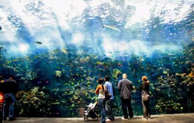 Georgia Aquarium Skip-the-Box-Office Entry Ticket