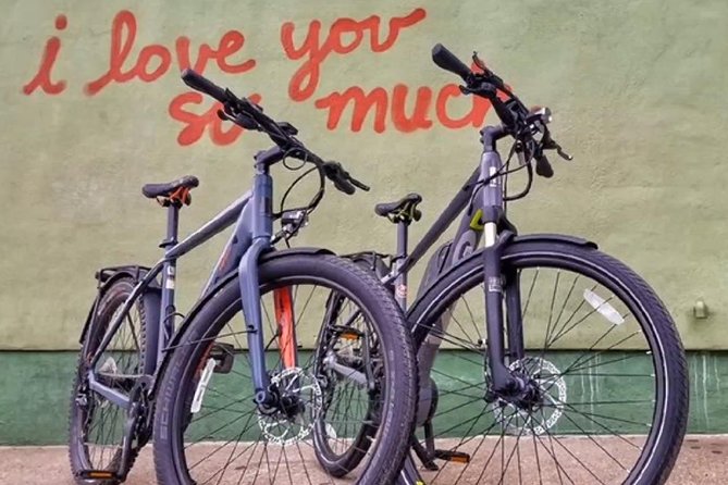 Austin Electric Bike Tour: Let it Ride - Starting at Barton Springs and Zilker Park