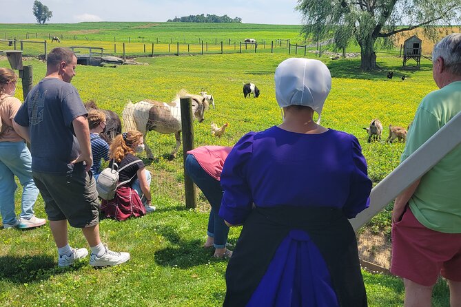 Authentic Tour & Meal with the Amish! - The drive becomes an Amish culture lesson