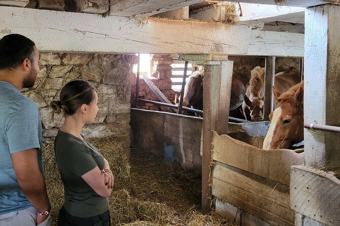 Authentic Tour & Meal with the Amish! - What may happen after lunch