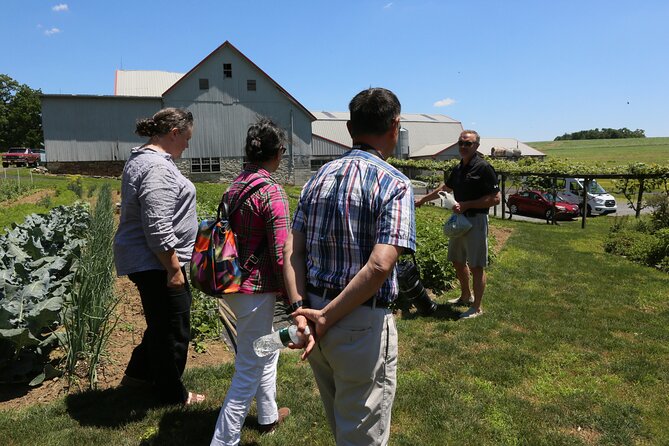 Authentic Tour & Meal with the Amish! - Is $99 a fair price?