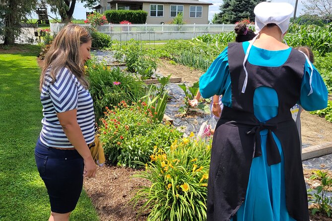 Authentic Tour & Meal with the Amish! - Group size, timing, and comfort