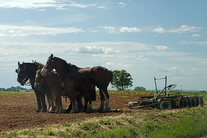 Authentic Tour & Meal with the Amish! - How to get the most from your visit