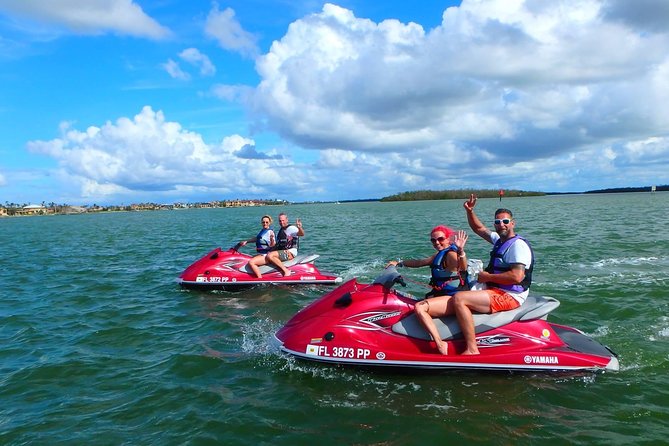 Avi's Premium Dolphin Tour by Jet Ski - Through the mangroves of the 10,000 Islands