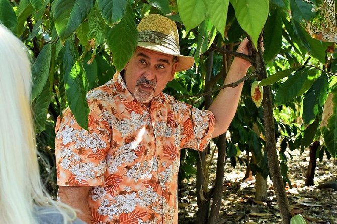 Award Winning Farm Tour: Coffee, Chocolate and Unique Gifts - The Scenic Climb Above Kona