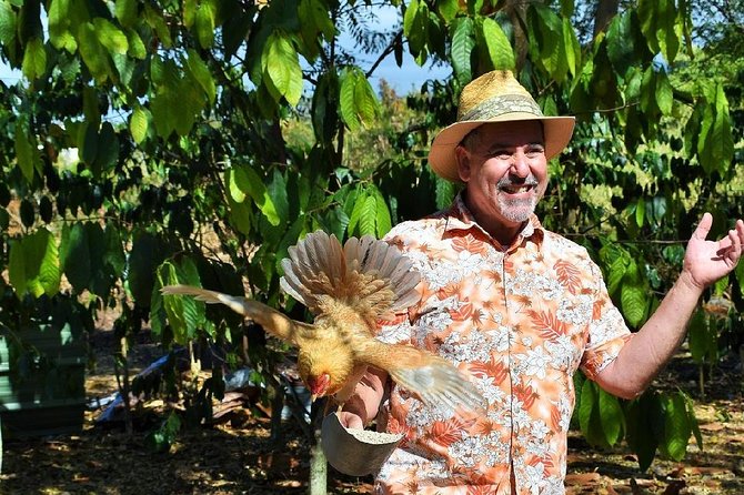 Award Winning Farm Tour: Coffee, Chocolate and Unique Gifts - Cacao and Chocolate Made on Site