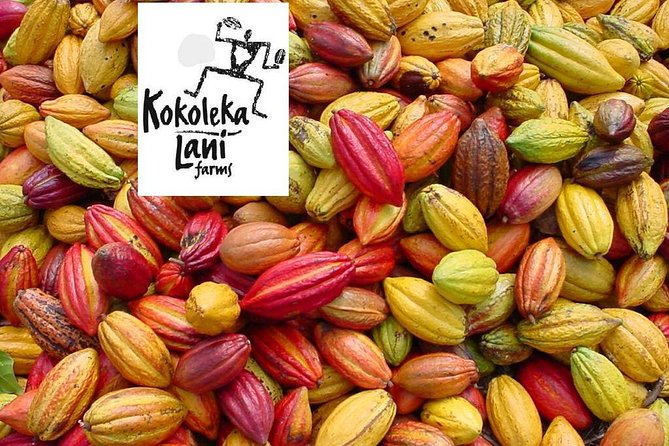 Award Winning Farm Tour: Coffee, Chocolate and Unique Gifts - The Unexpected Soap Factory Visit