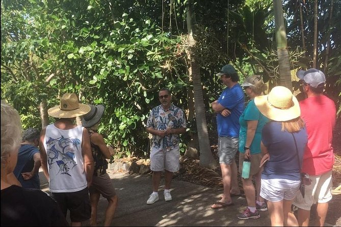 Award Winning Farm Tour: Coffee, Chocolate and Unique Gifts - Kona Coffee, From Crop to Cup
