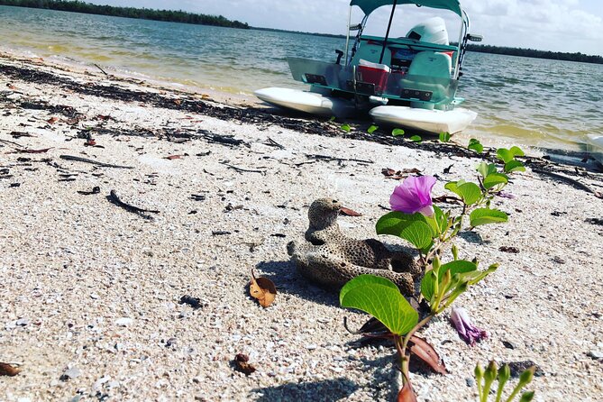 Backwater Adventure's CraigCat Tours of the 10,000 Islands - Learning to handle the CraigCat