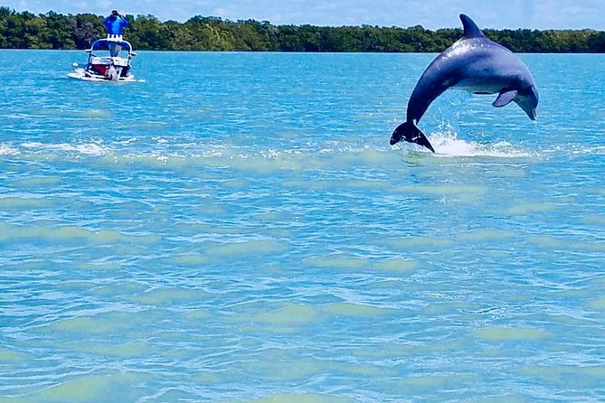 Backwater Adventure's CraigCat Tours of the 10,000 Islands - Looking for dolphins, birds, and fish