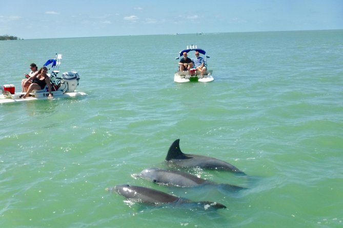 Backwater Adventure's CraigCat Tours of the 10,000 Islands - What the $135 price really buys