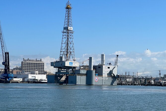 Baywatch Dolphin Tours – Pier 21 Galveston - Starting at Pier 21 in Galveston Harbor