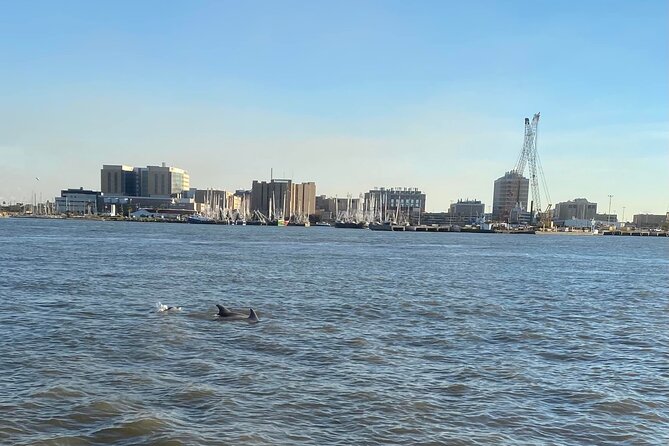 Baywatch Dolphin Tours – Pier 21 Galveston - The 45-minute route through Galveston Harbor