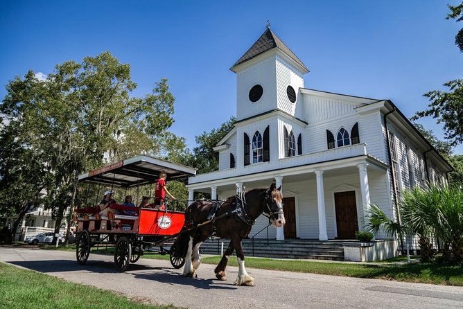 Beaufort’s #1 Horse & Carriage History Tour - What the Guides Add to the Ride