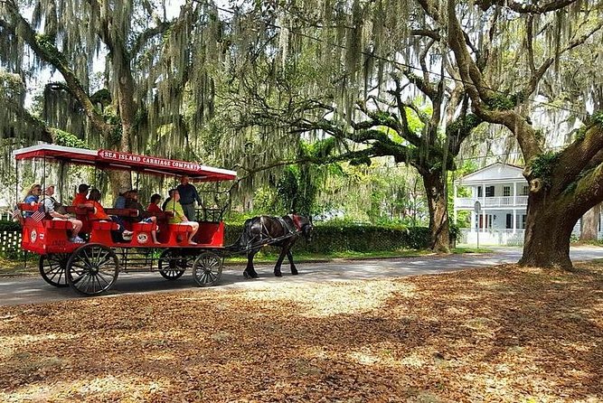 Beaufort’s #1 Horse & Carriage History Tour - Who Will Enjoy This Tour Most?