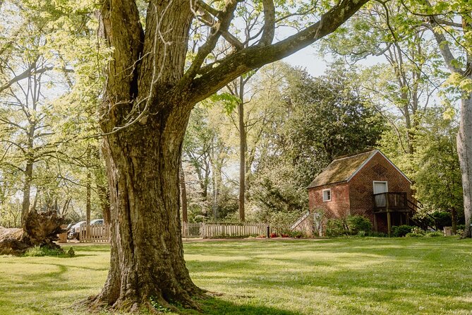 Belle Meade Guided Mansion Tour with Complimentary Wine Tasting - Timing, cost, and the question of value